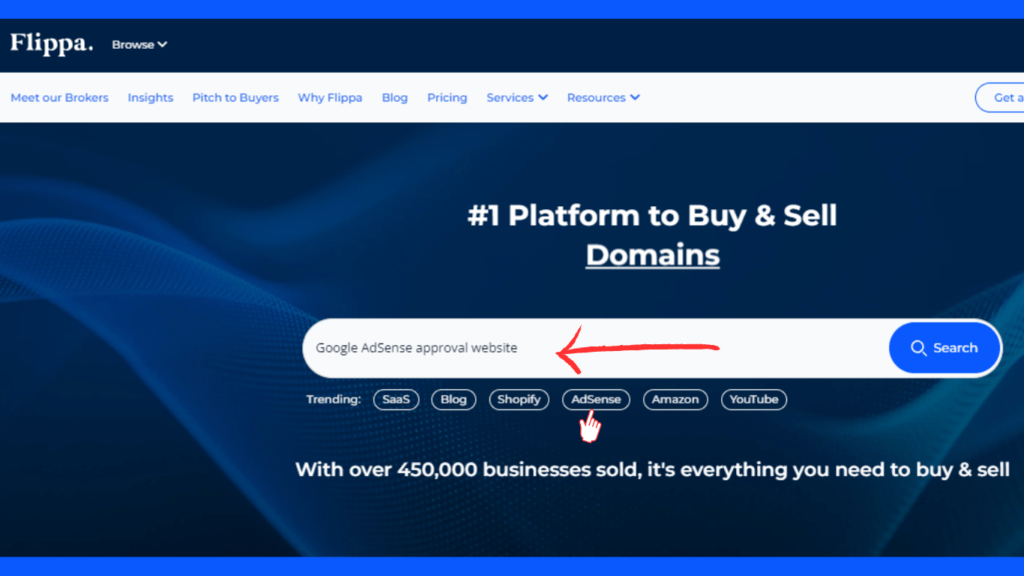How to Search for profitable Google AdSense approval website on Flippa